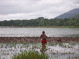 Rio de Agua B�ffelfarm
